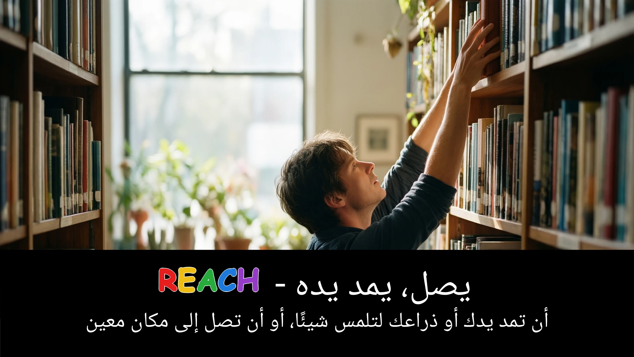 Arabic Illustration for reach
